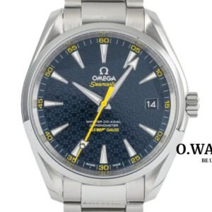 Omega Seamaster Acier Automatique Montre