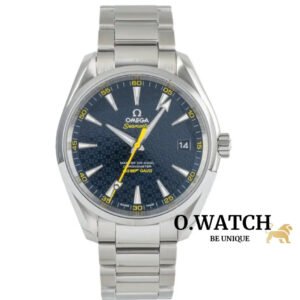 Omega Seamaster Acier Automatique Montre